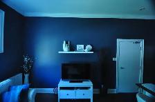 Centretown: One-bedroom unit in super-convenient location - Photo 10