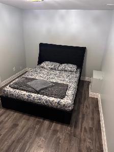 Basement Apartment