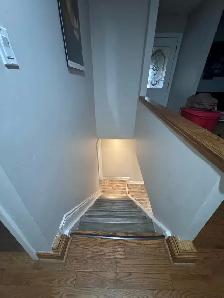 Basement Apartment - Photo 4