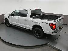 2024 Ford F-150 XLT WIRELESS CARPLAY | AUTO CLIMATE CONTROL | 4W - Photo 52