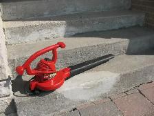 TORO Corded Leaf Blower - Photo 2