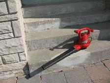 TORO Corded Leaf Blower - Photo 10