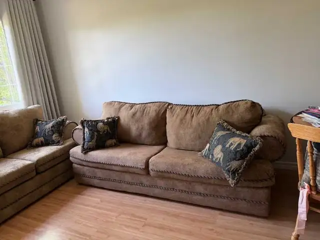 Hide a bed & Love seat
