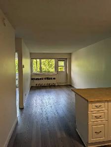 one bedroom apartment - Photo 2