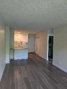 one bedroom apartment - Photo 3