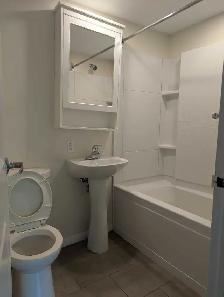 one bedroom apartment - Photo 5