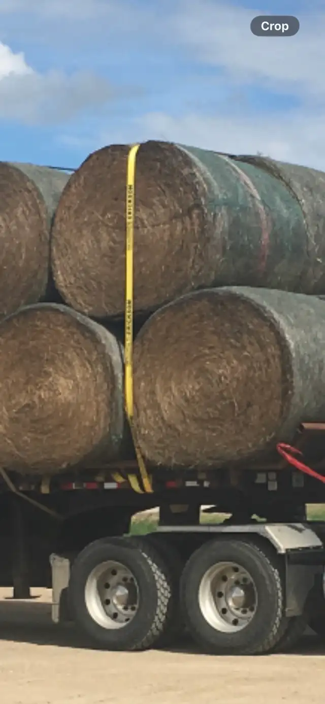 hay for sale