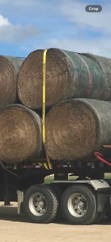 hay for sale