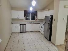 House for rent in martindale