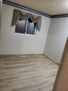 House for rent in martindale - Photo 4