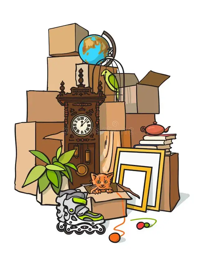 Packing Help Needed for Move