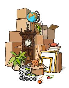 Packing Help Needed for Move