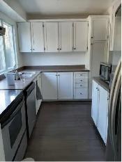 Room for rent - Photo 4