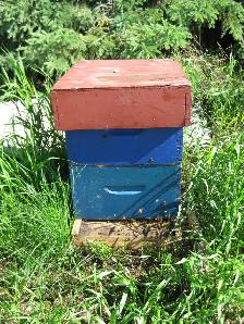Bee Hives For Sale