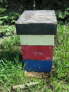 Bee Hives For Sale - Photo 2