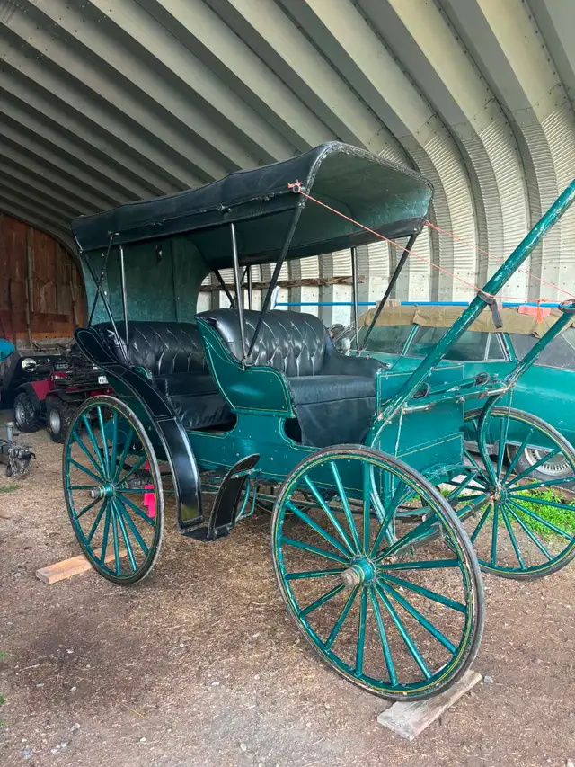 1800 doctors coach buggy