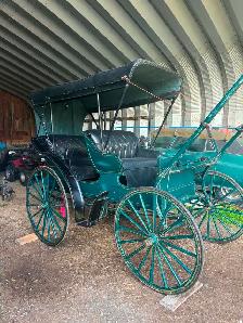 1800 doctors coach buggy