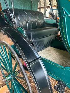 1800 doctors coach buggy - Photo 2