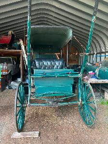 1800 doctors coach buggy - Photo 3
