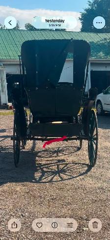 1800 doctors coach buggy - Photo 4