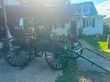 1800 doctors coach buggy - Photo 5