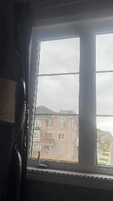 Windows Repairs - Photo 5