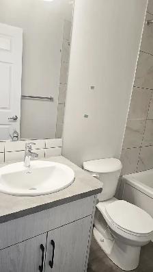 Cityscape, Calgary NE - 2 Bedroom / 2 Bath Legal Basement - Photo 9