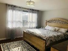 walk out 2 bedroom basement for rent