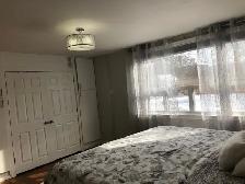 walk out 2 bedroom basement for rent - Photo 2