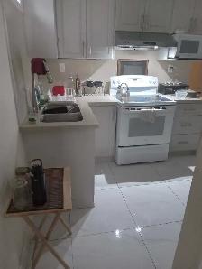 Air Conditioned Basement Room for Rent Available July 1st - Photo 4