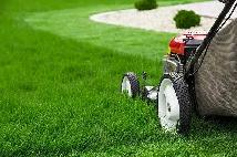 Lawn Maintenance Services