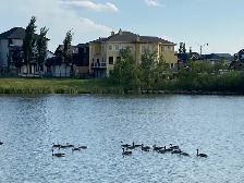 5-bedroom, 4 Bath large Executive house on lake   Park, bright