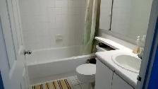 Furnished apartment for female near Sheridan College, Brampton - Photo 2