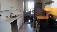 Furnished apartment for female near Sheridan College, Brampton - Photo 5