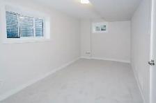 1 Legal Bedroom with Private Washroom   Rec Room in Barrhaven - Photo 2