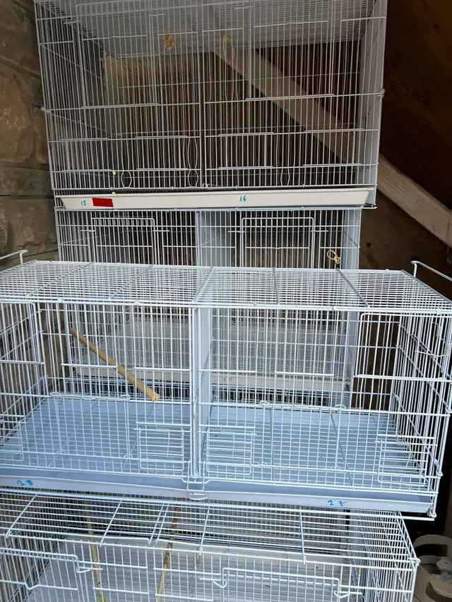 canary breeding bird cage
