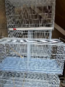 canary breeding bird cage