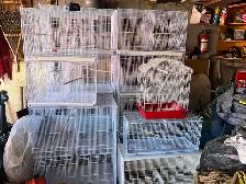canary breeding bird cage - Photo 2