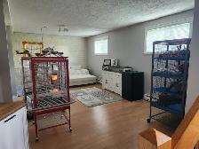 Service de gardiennage pour animaux exotiques - Photo 2