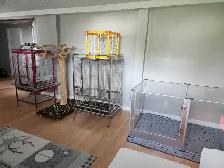 Service de gardiennage pour animaux exotiques - Photo 3