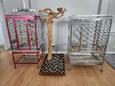 Service de gardiennage pour animaux exotiques - Photo 5