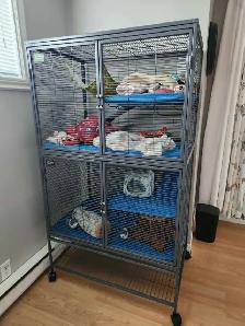 Service de gardiennage pour animaux exotiques - Photo 6