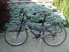 Heavy Duty Trek 21 Speed   Carrier! CALL TOM 519-250-5890