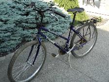 Heavy Duty Trek 21 Speed   Carrier! CALL TOM 519-250-5890 - Photo 2