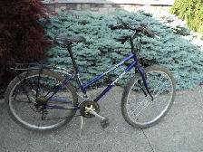 Heavy Duty Trek 21 Speed   Carrier! CALL TOM 519-250-5890 - Photo 3