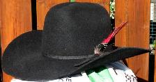 Black Cowboy Hat, Custom Steam fitting,   new feathers