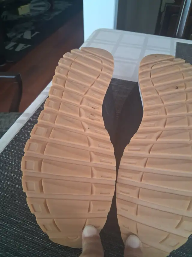 BRAND NEW Running shoes. ASKING 25.00