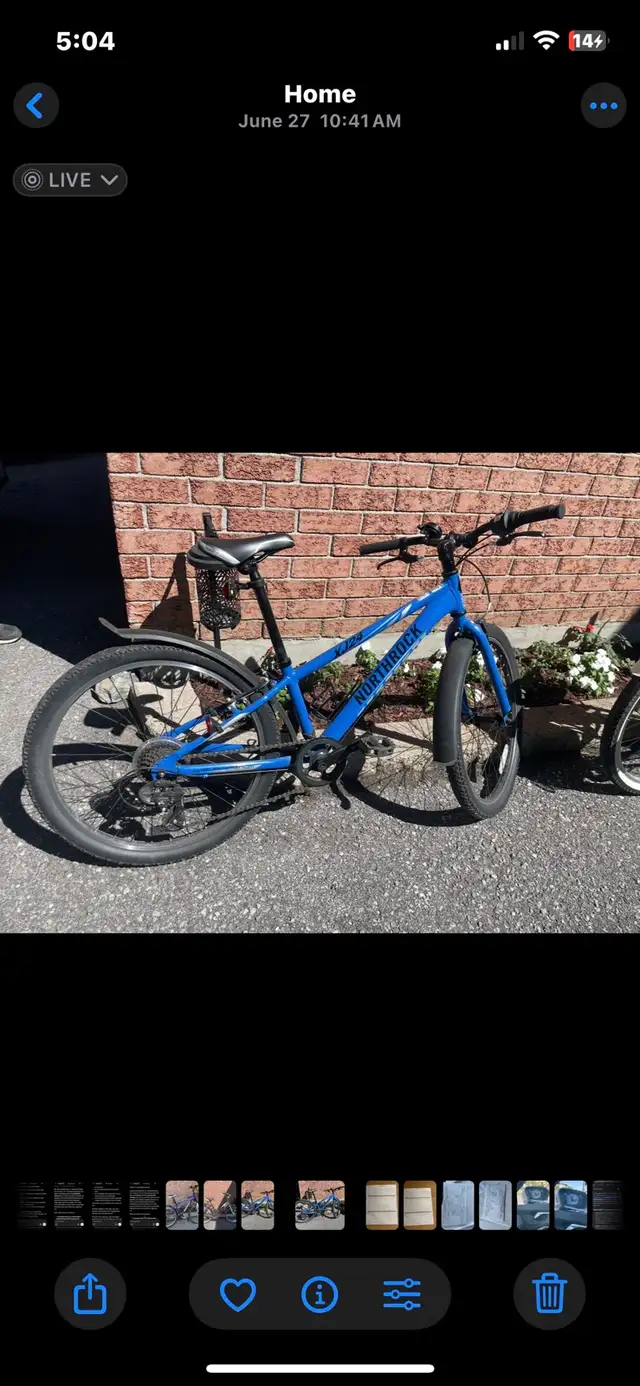 Junior bicycle