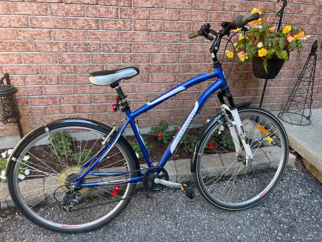 Blue Geotech Infinity 28 Men'sCity/Touring Bicycle