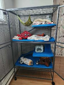 Service de gardiennage d’animaux exotiques - Photo 6